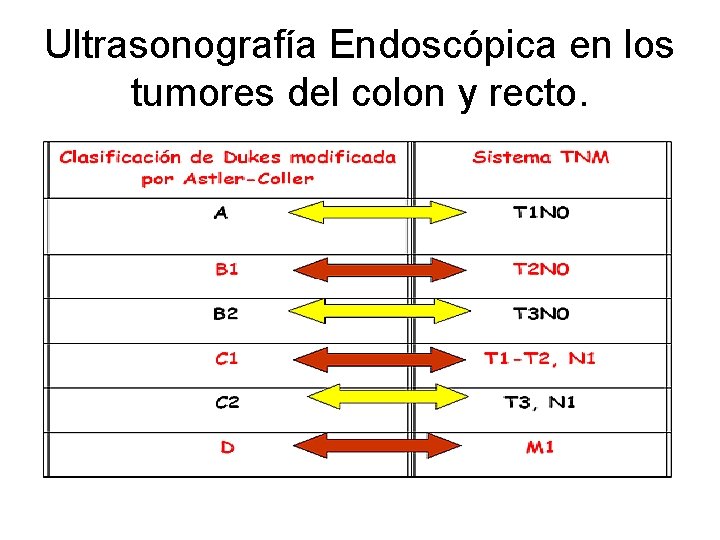 Ultrasonografía Endoscópica en los tumores del colon y recto. 