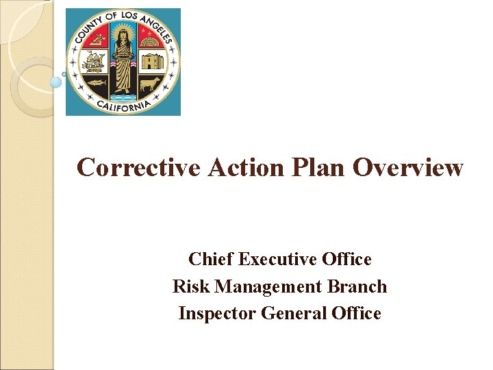 Corrective Action Plan Overview Chief Executive Office Risk Management Branch Inspector General Office 