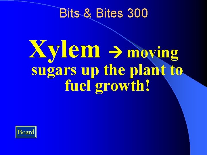 Bits & Bites 300 Xylem moving sugars up the plant to fuel growth! Board