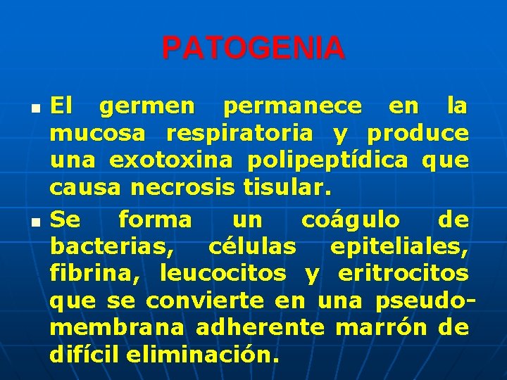 PATOGENIA n n El germen permanece en la mucosa respiratoria y produce una exotoxina PATOGENIA n n El germen permanece en la mucosa respiratoria y produce una exotoxina