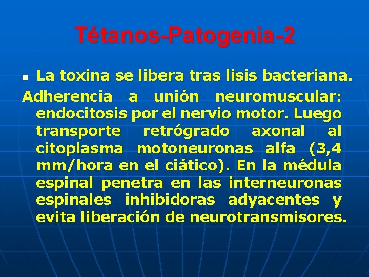 Tétanos-Patogenia-2 La toxina se libera tras lisis bacteriana. Adherencia a unión neuromuscular: endocitosis por Tétanos-Patogenia-2 La toxina se libera tras lisis bacteriana. Adherencia a unión neuromuscular: endocitosis por