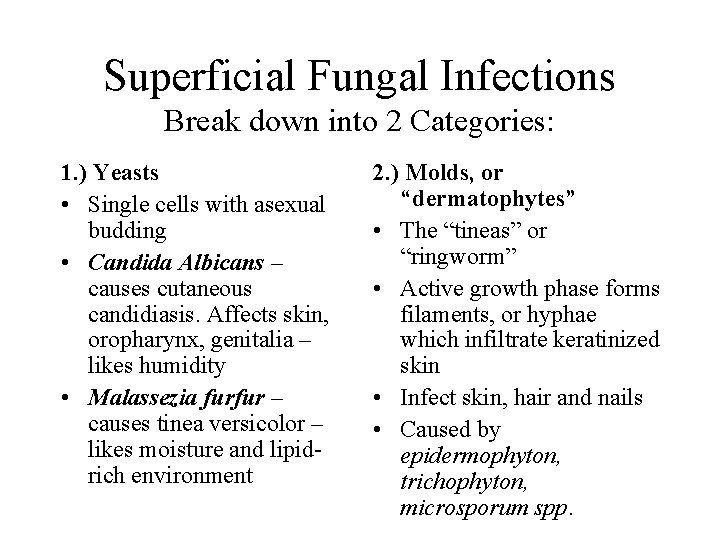 Superficial Fungal Infections Break down into 2 Categories: 1. ) Yeasts • Single cells