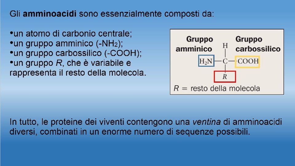 Dall’incontro di due amminoacidi. . …SI FORMA UN DIPEPTIDE . 