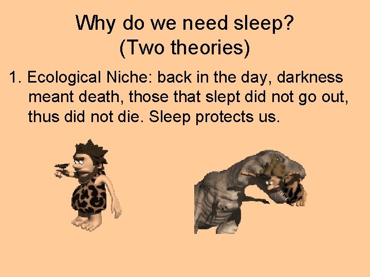 Why do we need sleep? (Two theories) 1. Ecological Niche: back in the day,