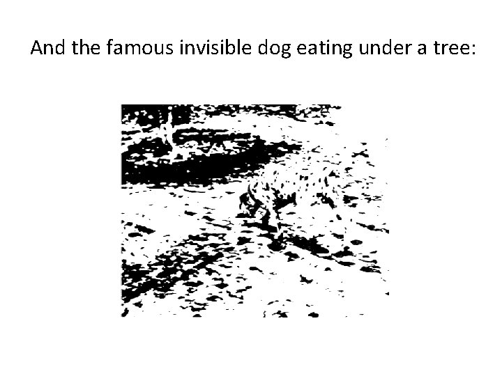 And the famous invisible dog eating under a tree: 