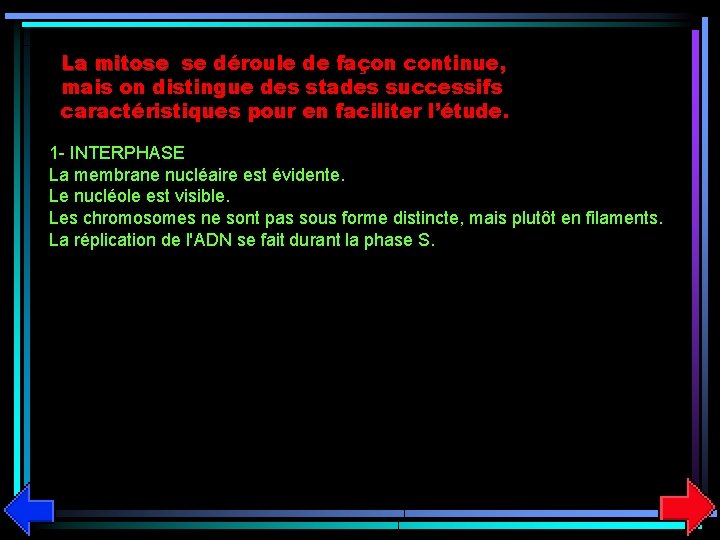 La mitose se déroule de façon continue, mais on distingue des stades successifs caractéristiques