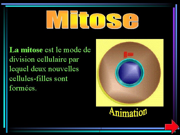 La mitose est le mode de division cellulaire par lequel deux nouvelles cellules-filles sont