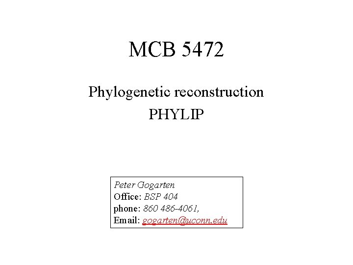 MCB 5472 Phylogenetic reconstruction PHYLIP Peter Gogarten Office: BSP 404 phone: 860 486 -4061,