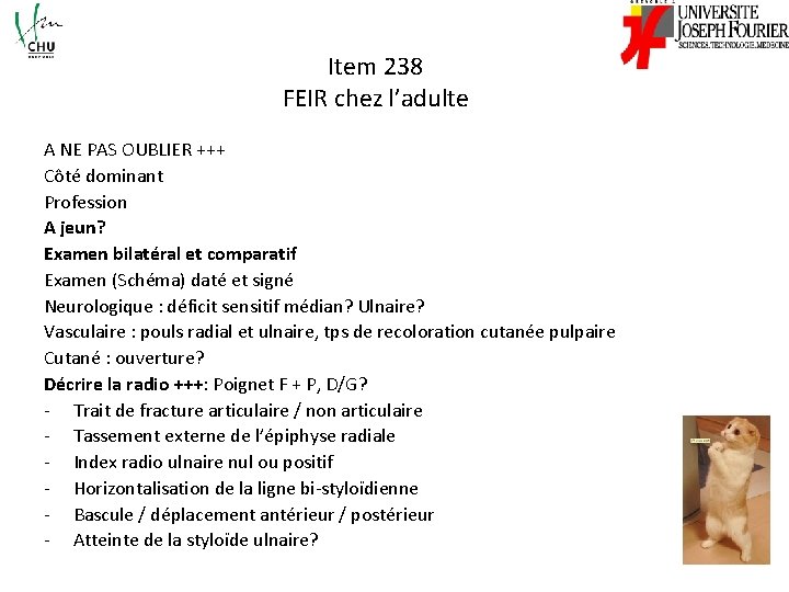 Item 238 FEIR chez l’adulte A NE PAS OUBLIER +++ Côté dominant Profession A