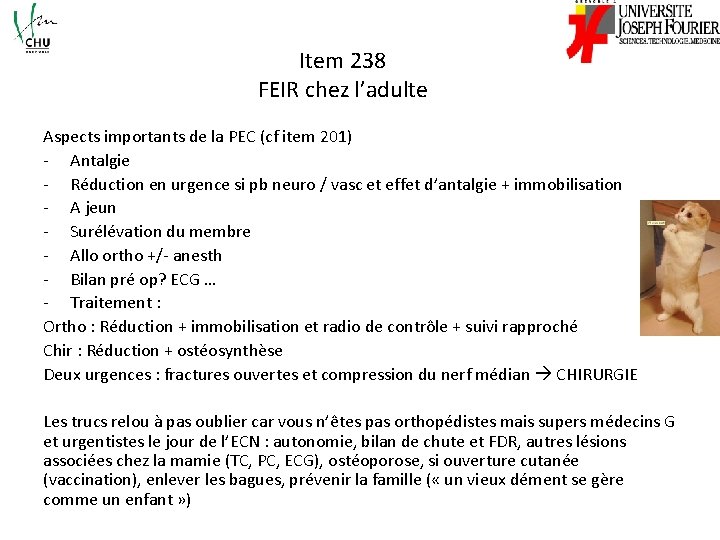 Item 238 FEIR chez l’adulte Aspects importants de la PEC (cf item 201) -