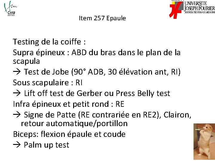 Item 257 Epaule Testing de la coiffe : Supra épineux : ABD du bras