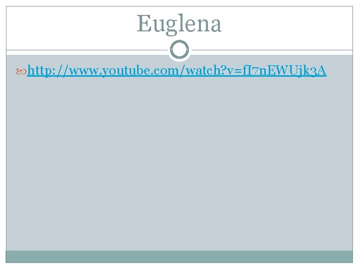 Euglena http: //www. youtube. com/watch? v=f. I 7 n. EWUjk 3 A 