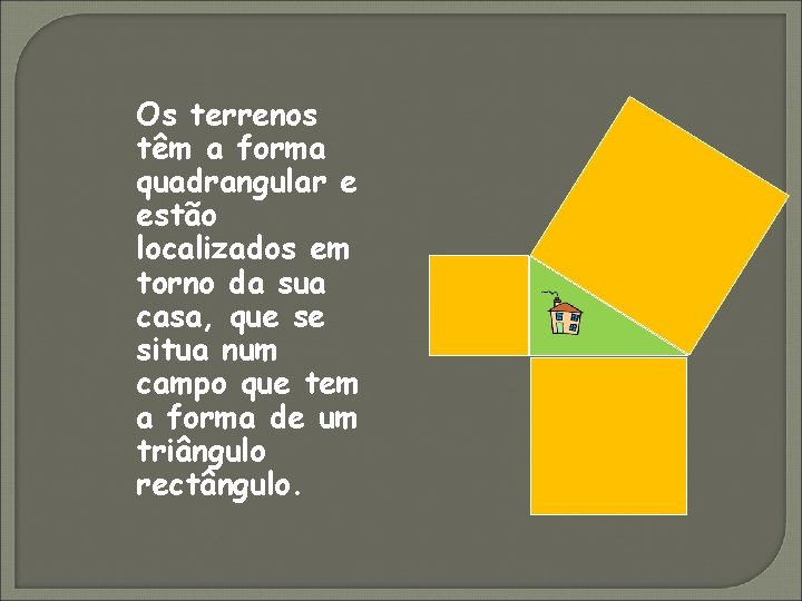Os terrenos têm a forma quadrangular e estão localizados em torno da sua casa,