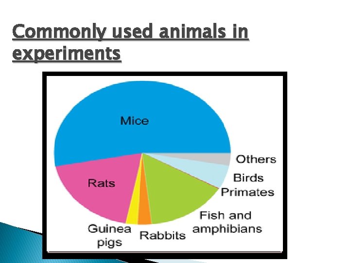 Commonly used animals in experiments 