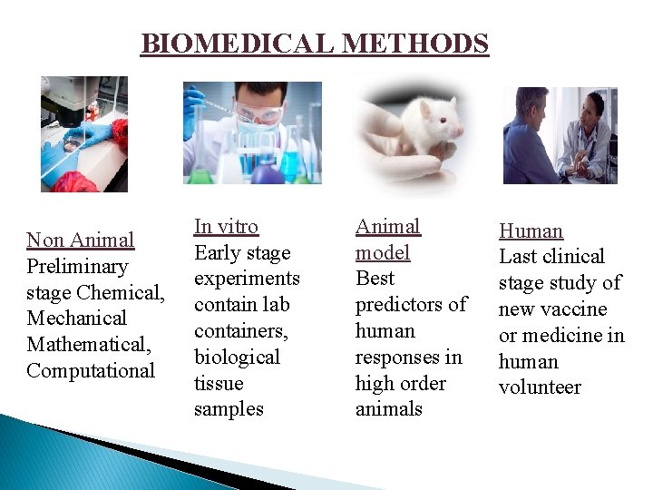 BIOMEDICAL METHODS Non Animal Preliminary stage Chemical, Mechanical Mathematical, Computational In vitro Early stage