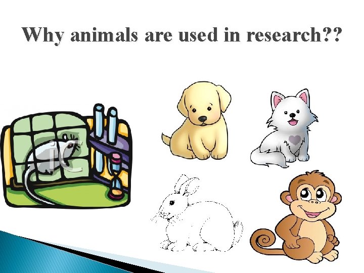 Why animals are used in research? ? 