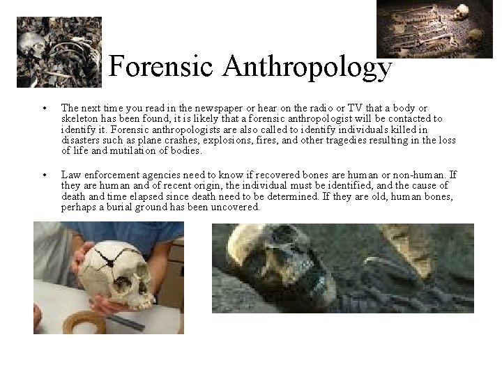 Forensic Anthropology • The next time you read in the newspaper or hear on