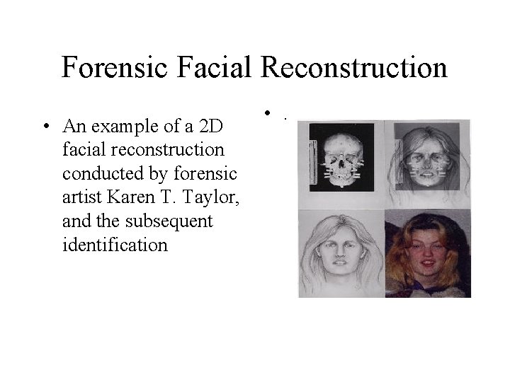 Forensic Facial Reconstruction • An example of a 2 D facial reconstruction conducted by