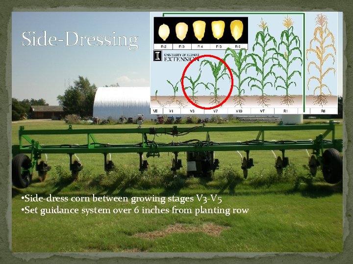 Side-Dressing • Side-dress corn between growing stages V 3 -V 5 • Set guidance