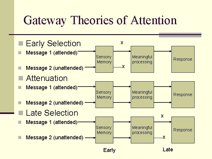 Gateway Theories of Attention n Early Selection n Message 1 (attended) x Sensory Memory