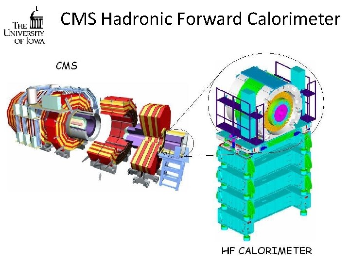 CMS Hadronic Forward Calorimeter 