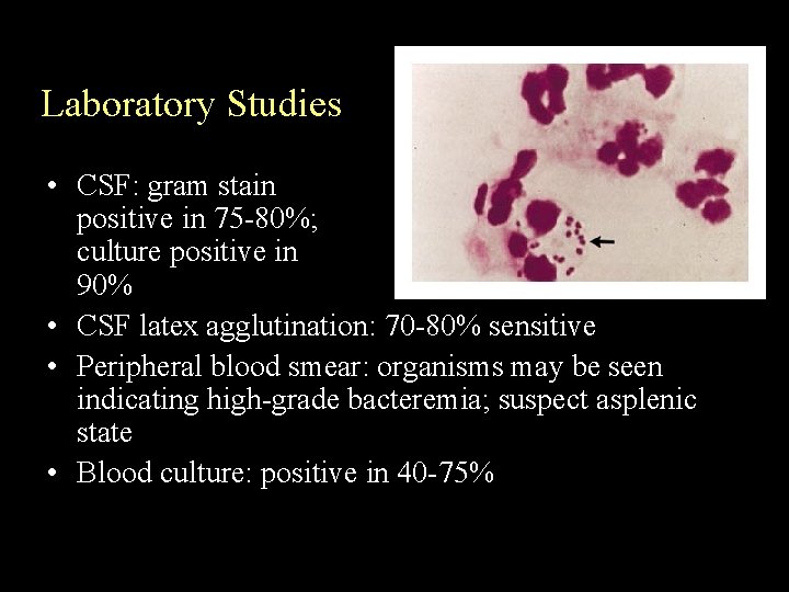 Laboratory Studies • CSF: gram stain positive in 75 -80%; culture positive in 90%