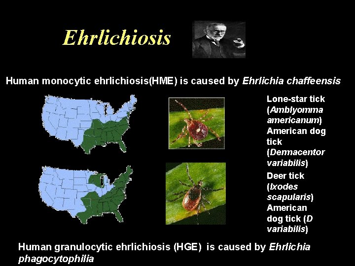 Ehrlichiosis Human monocytic ehrlichiosis(HME) is caused by Ehrlichia chaffeensis. Lone-star tick (Amblyomma americanum) American