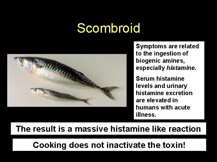 Scombroid Symptoms are related to the ingestion of biogenic amines, especially histamine. Serum histamine