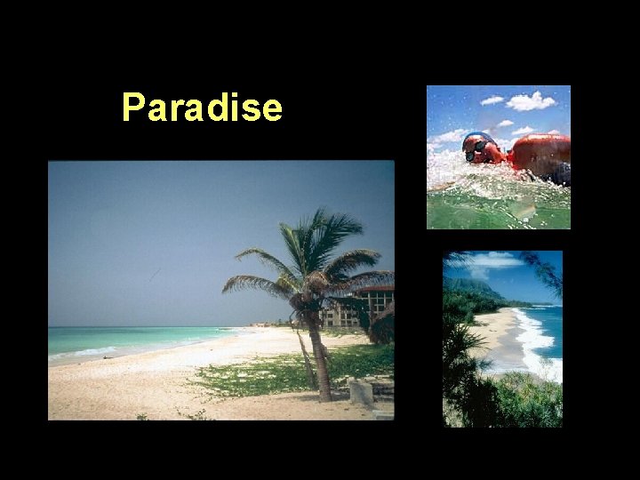 Paradise 