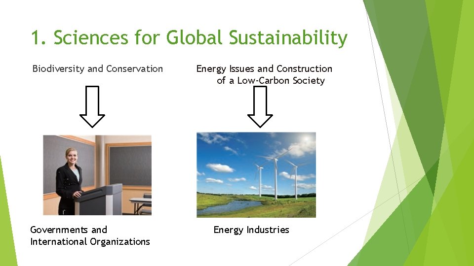 1. Sciences for Global Sustainability Biodiversity and Conservation Governments and International Organizations Energy Issues
