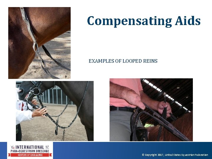 Compensating Aids EXAMPLES OF LOOPED REINS © Copyright 2017, United States Equestrian Federation 