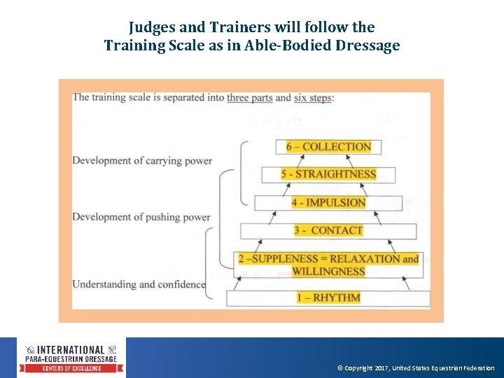 Judges and Trainers will follow the Training Scale as in Able-Bodied Dressage © Copyright