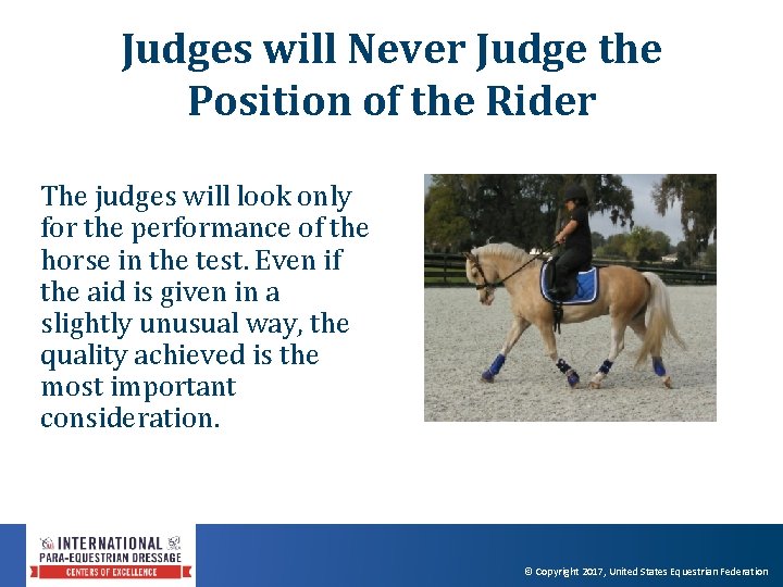 Judges will Never Judge the Position of the Rider The judges will look only