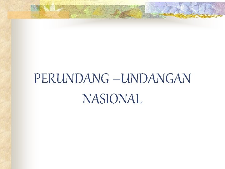 PERUNDANG –UNDANGAN NASIONAL 