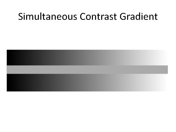 Simultaneous Contrast Gradient 
