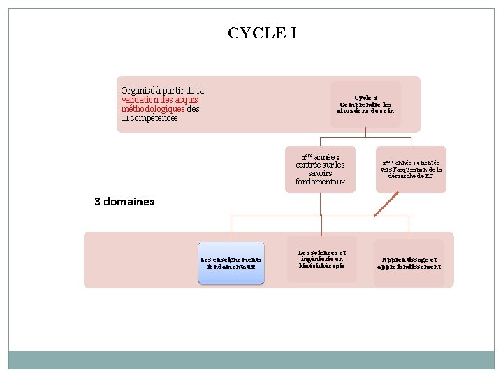 CYCLE I Organisé à partir de la validation des acquis méthodologiques des 11 compétences