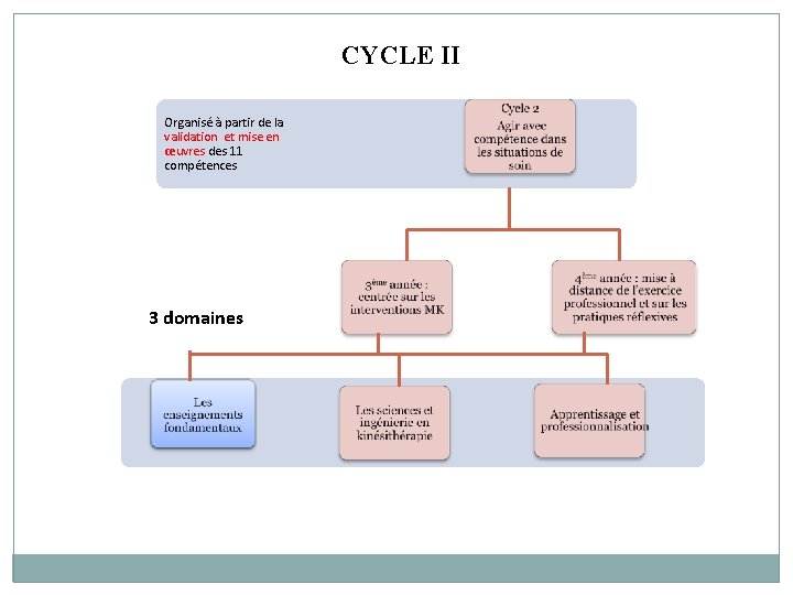 CYCLE II Organisé à partir de la validation et mise en œuvres des 11