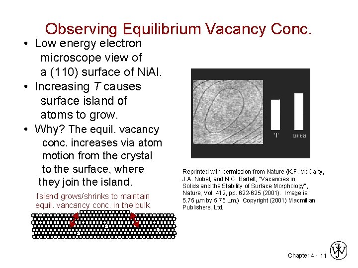 Observing Equilibrium Vacancy Conc. • Low energy electron microscope view of a (110) surface