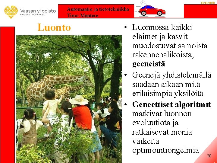 01/11/2020 Automaatio ja tietotekniikka Timo Mantere Luonto • Luonnossa kaikki eläimet ja kasvit muodostuvat