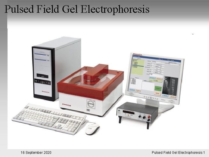 Pulsed Field Gel Electrophoresis 16 September 2020 Pulsed. Pulsfeldgelelektrophorese. 1 Field Gel Electrophoresis 1