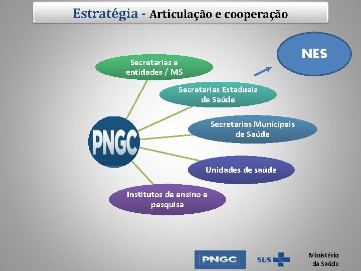 Estratégia - Articulação e cooperação NES Secretarias e entidades / MS Secretarias Estaduais de Estratégia - Articulação e cooperação NES Secretarias e entidades / MS Secretarias Estaduais de