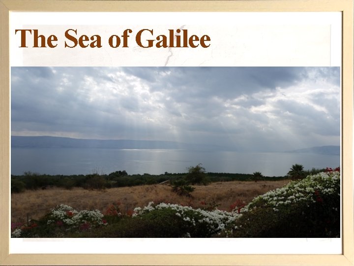 The Sea of Galilee 