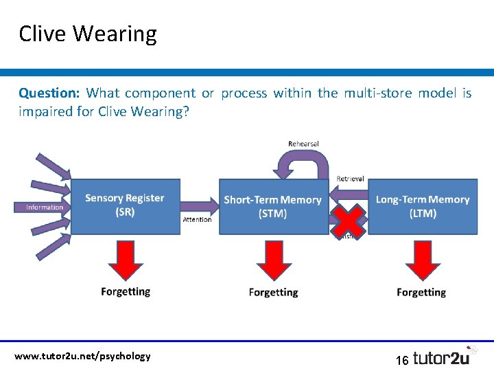 Clive Wearing Question: What component or process within the multi-store model is impaired for