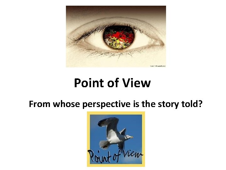 Point of View From whose perspective is the story told? 