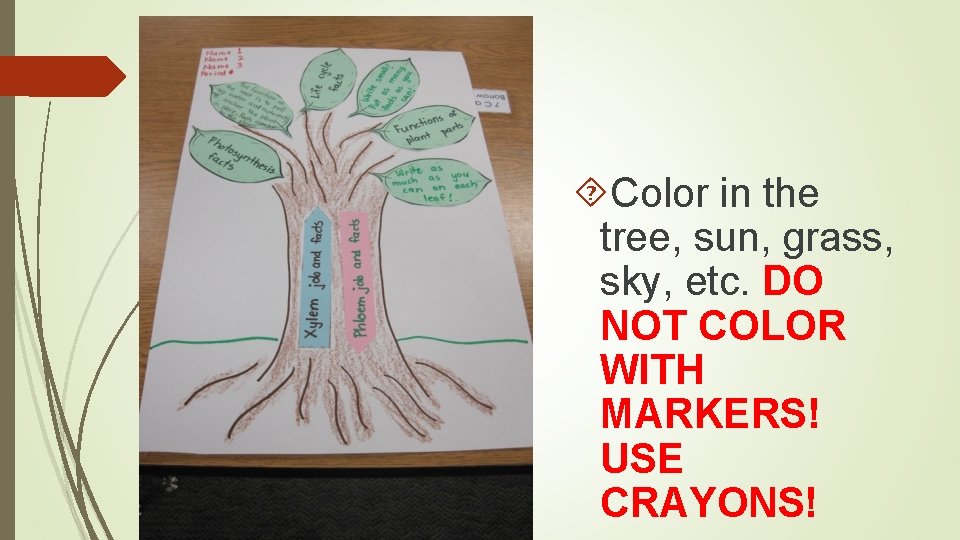  Color in the tree, sun, grass, sky, etc. DO NOT COLOR WITH MARKERS!