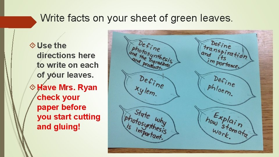 Write facts on your sheet of green leaves. Use the directions here to write