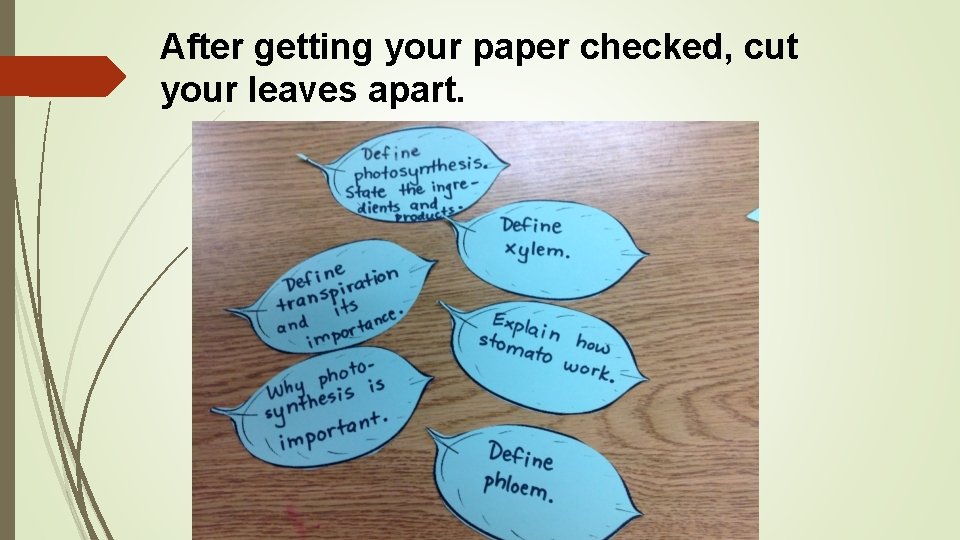 After getting your paper checked, cut your leaves apart. 