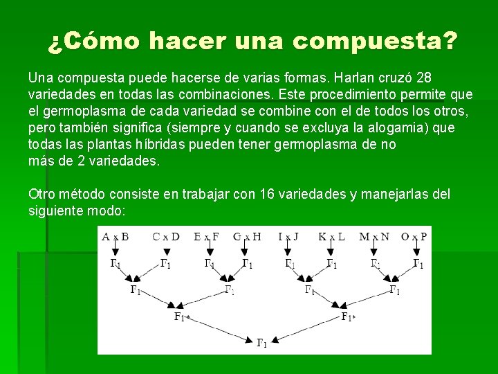 ¿Cómo hacer una compuesta? Una compuesta puede hacerse de varias formas. Harlan cruzó 28