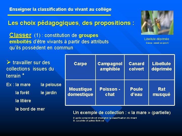 Enseigner la classification du vivant au collège Les choix pédagogiques, des propositions : Classer