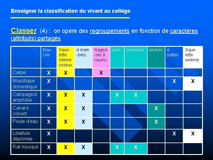 Enseigner la classification du vivant au collège Classer (4) : on opère des regroupements